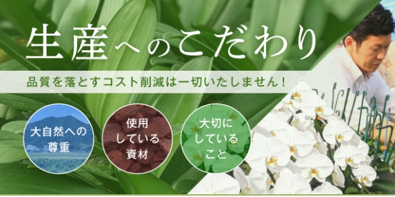 スクリーンショット_11-12-2025_141719_www.rannohana.com