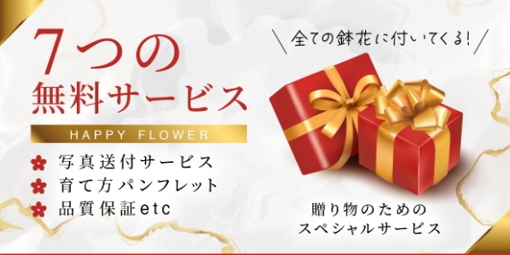 スクリーンショット_11-12-2025_14171_www.rannohana.com